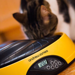 Andrew James 4 Day Meal Automatic Pet Feeder Bowl