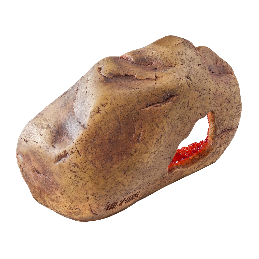 Exo Terra Crystal Cave